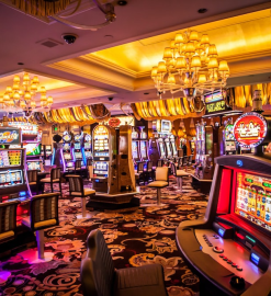 Take Your Pick from a Variety of Games at Falcon Vegas Online Casino
