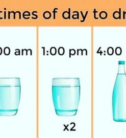 Exploring How Long Does It Take To Pee After Drinking 20 Oz Of Water