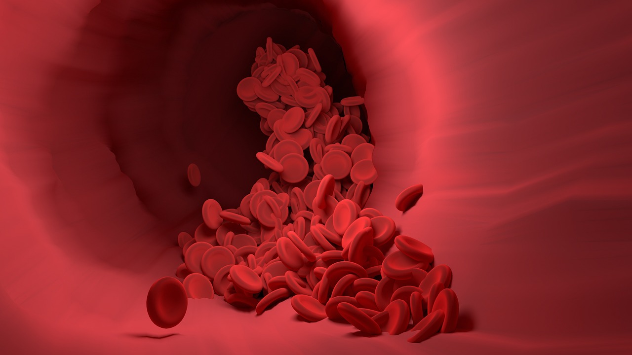 Red blood cells, blood vessel, blood flow — Benefits Of Having Breast Augmentation: www.victoriakliniken.com/