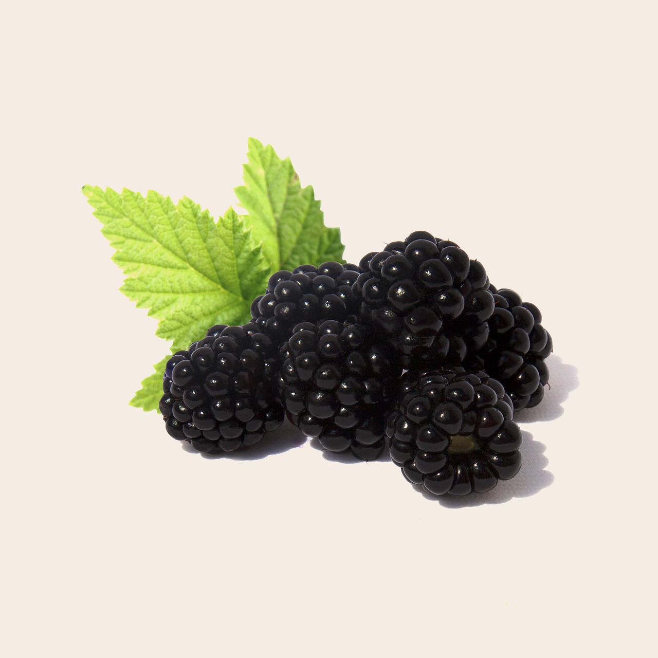 Blackberries, fruit, health — Choosing an online dermatologist to get rid of skin problems