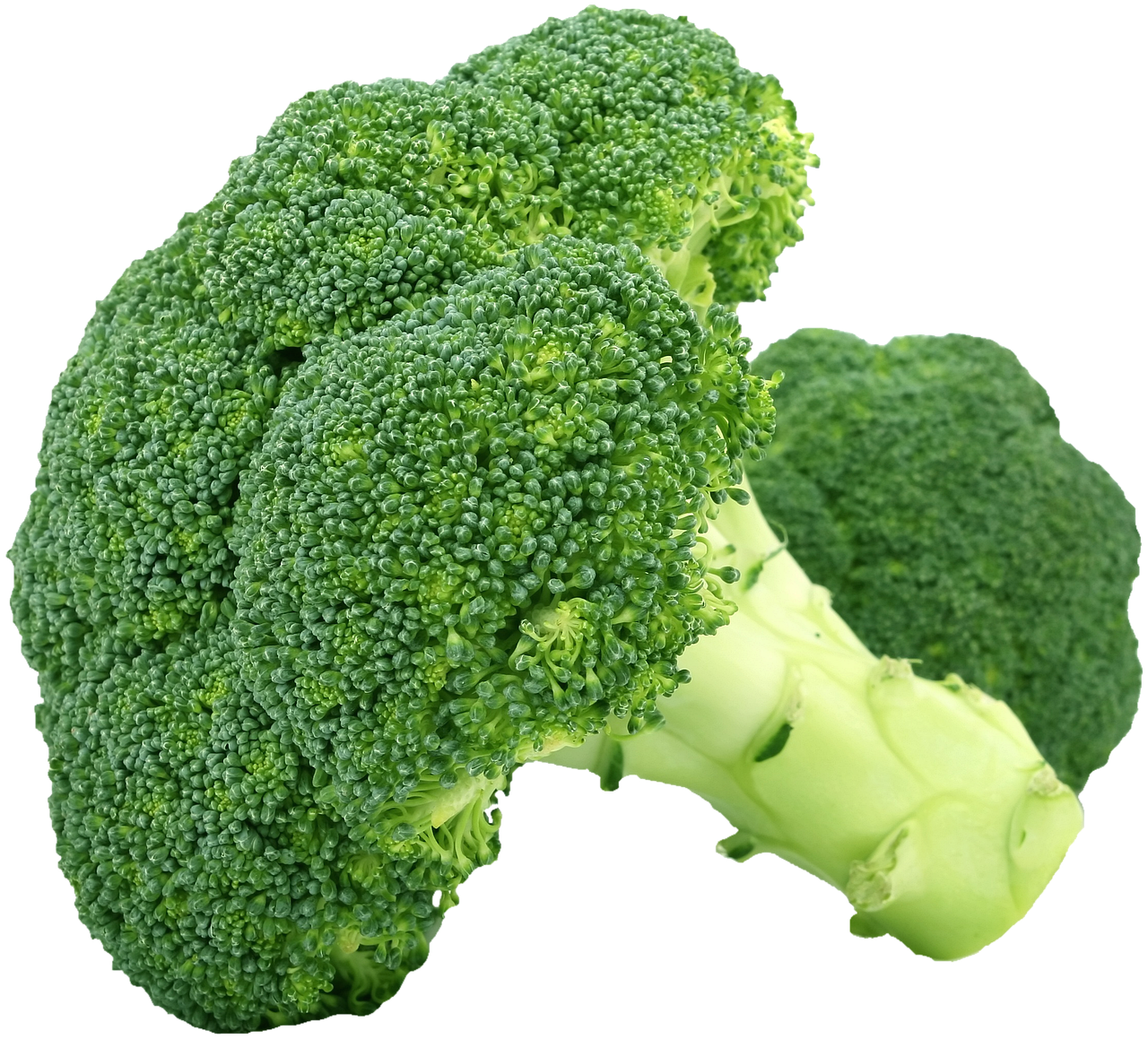 Broccoli, vegetable, food — How Do I Know Which Pizza Food Truck Business Is The Best