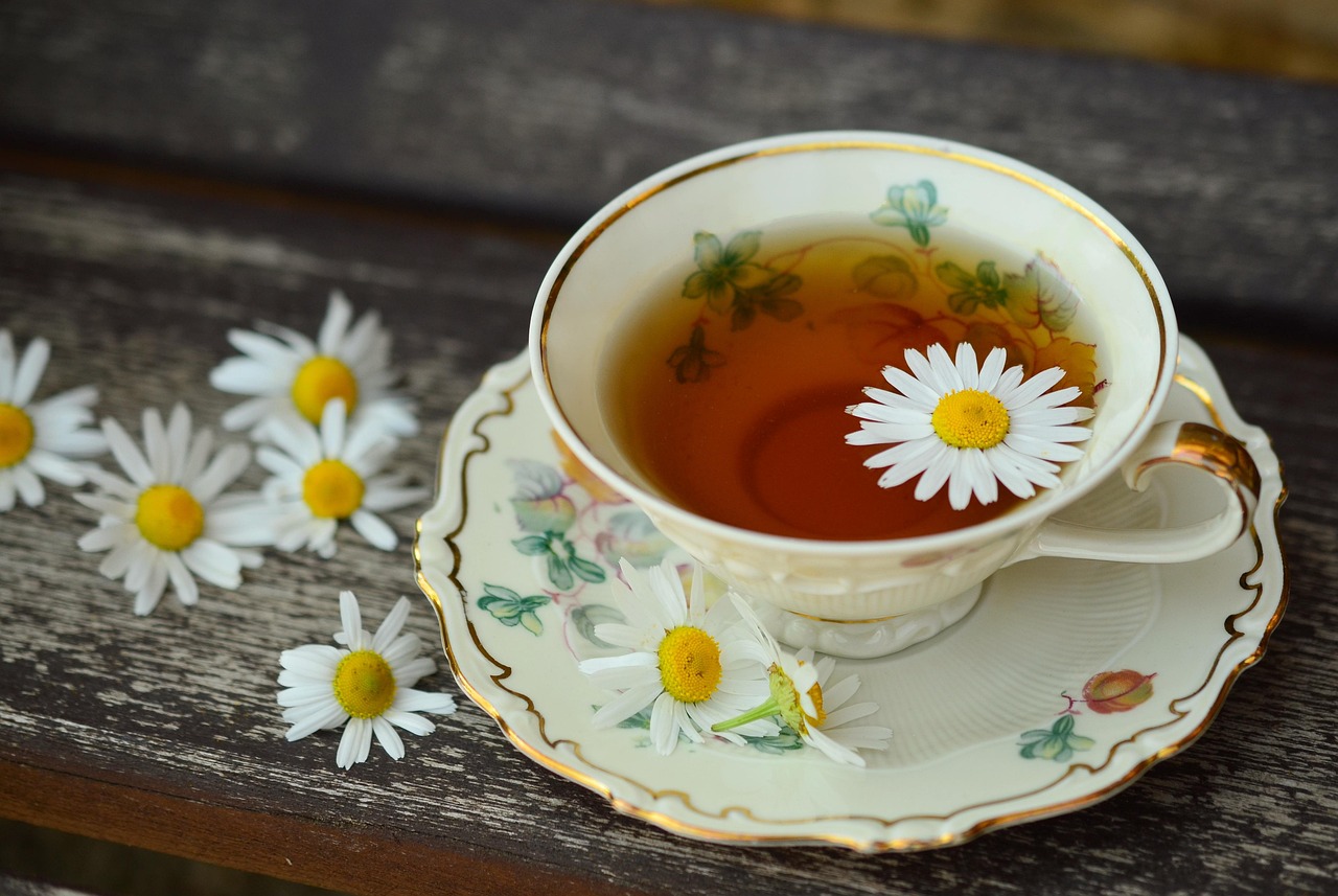 Cup, tee, porcelain — How to locate and Understand Medical Health Insurance