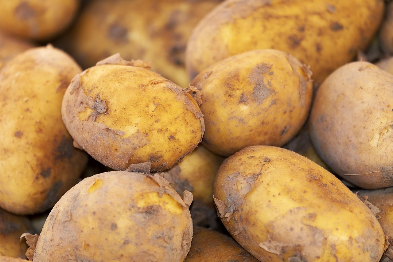 Potato, new harvest, nature — Reasons Why You Should Consider Buying Clothes Online