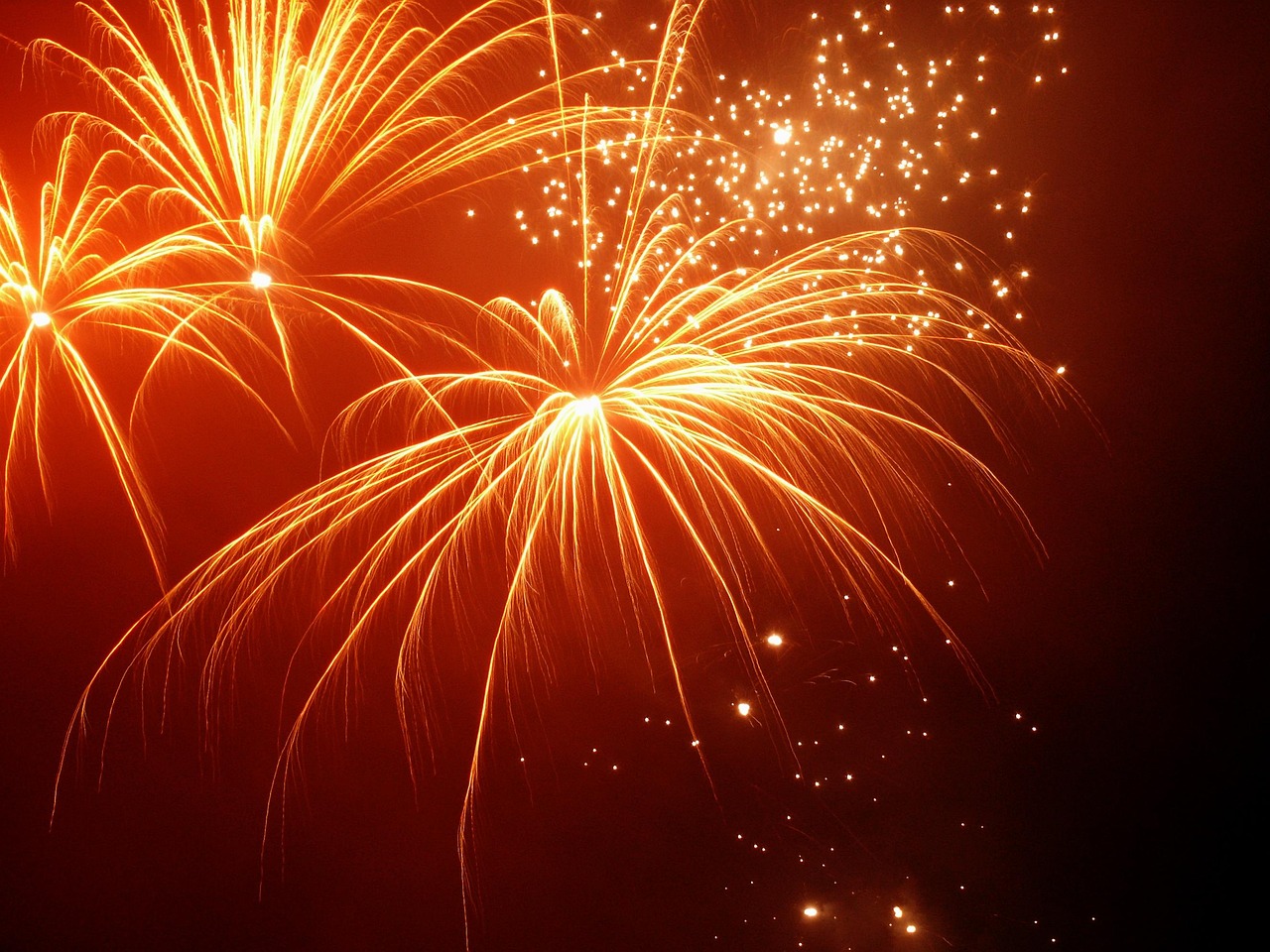 Fireworks, happy new year, sylvester — Roots of Wellness: Dr Eric Nepute 's Herbal Canvas for Vibrant Living