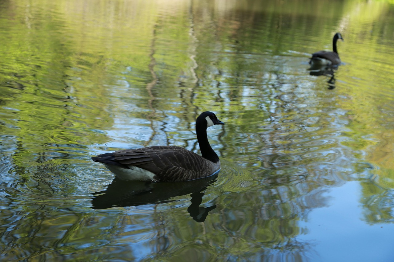Noel online gift shop, the body of water, nature — Sensual Bliss Awaits: Tantric Massage Outcall Services Across London