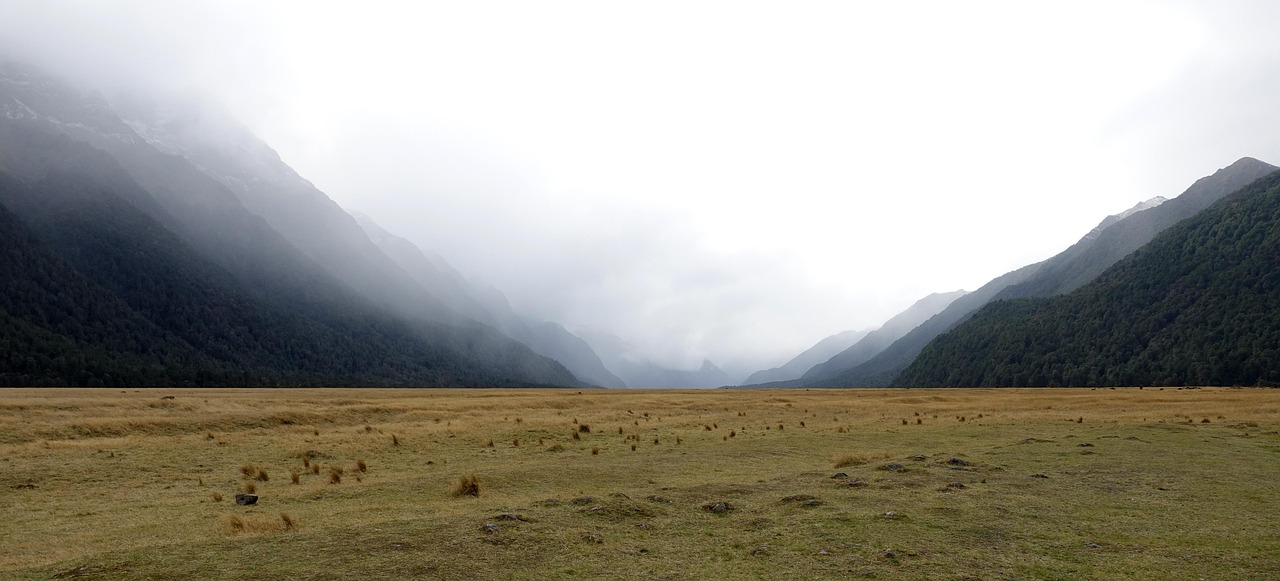 Nature, landscape, sky — Some benefits of hiring financial advisor