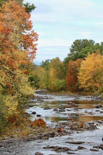 Fall, new england, new hampshire — Sports Insights Tools – VIPTAKA, krikya, Baji Live, KTWIN Analytical Features