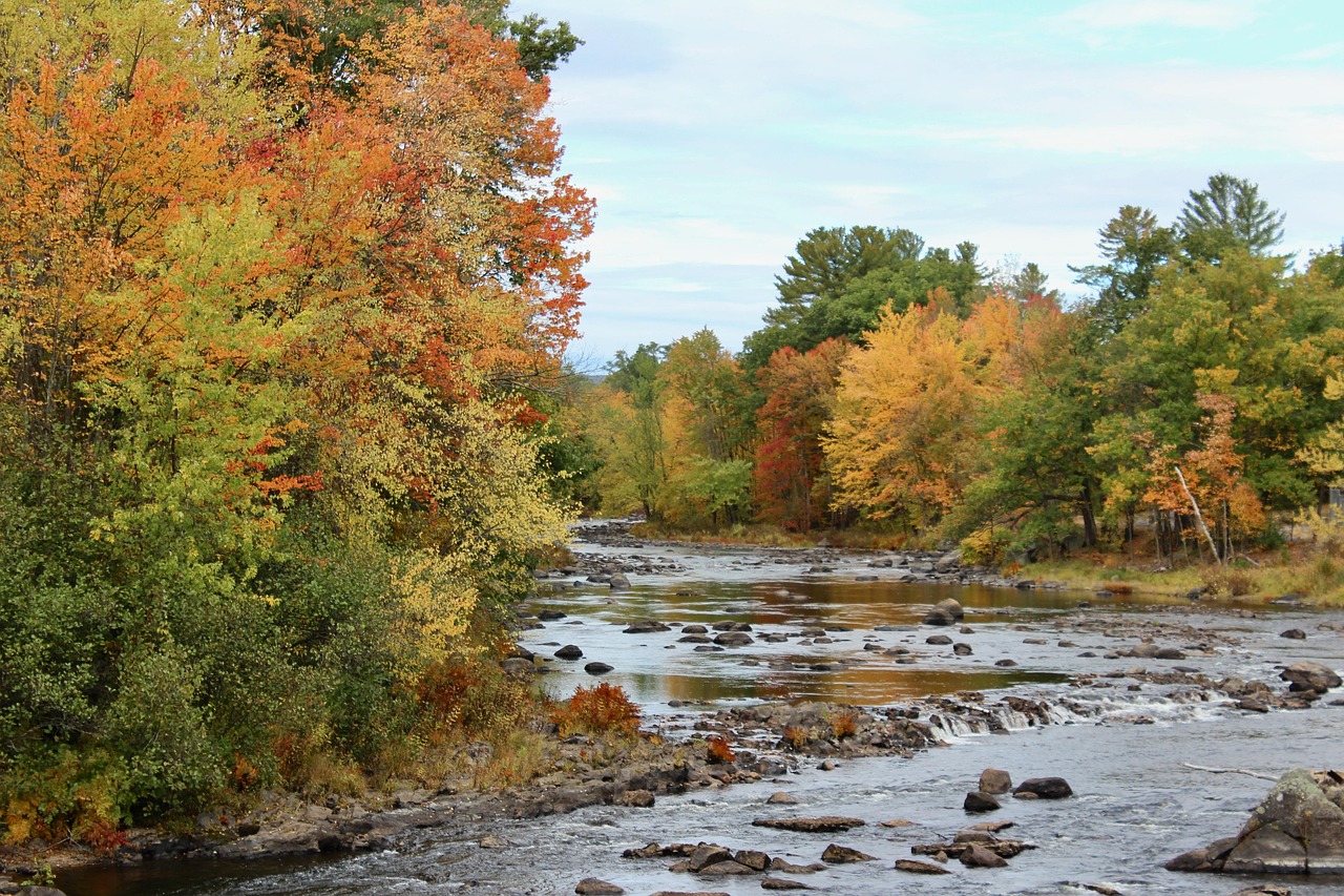 Fall, new england, new hampshire — Sports Insights Tools – VIPTAKA, krikya, Baji Live, KTWIN Analytical Features