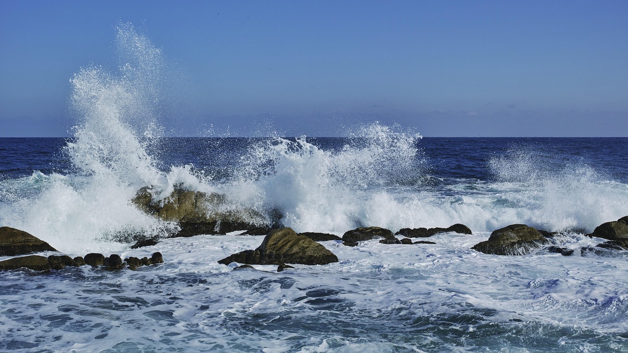 Waves, east sea, breaking waves — What Are the Reasons People Choose Paid Editing Applications Even After the Presence of The